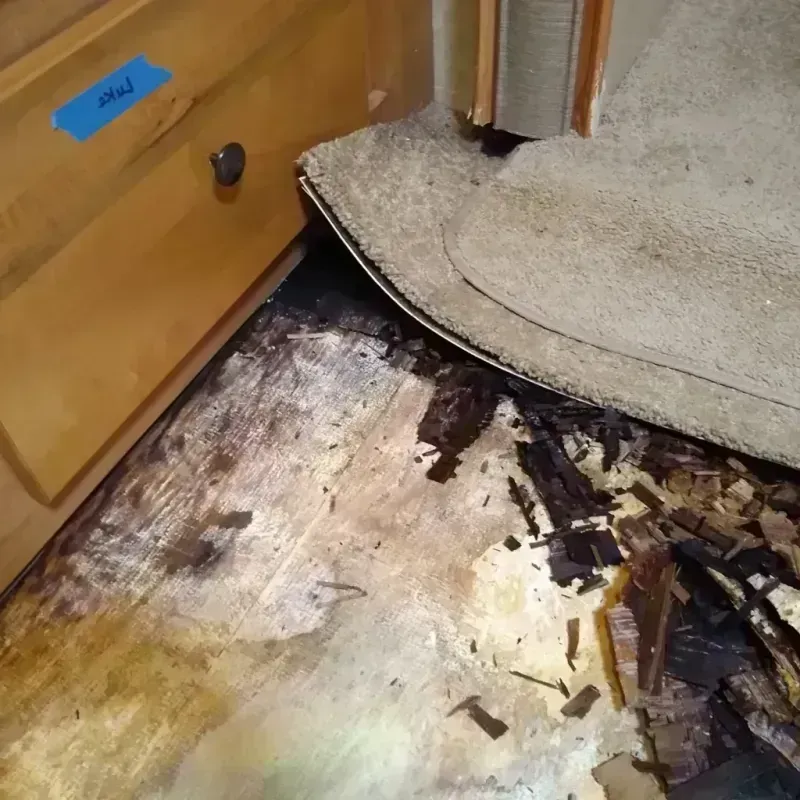 Wood Floor Water Damage in Smyrna, TN